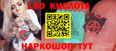 крисы Коммунар