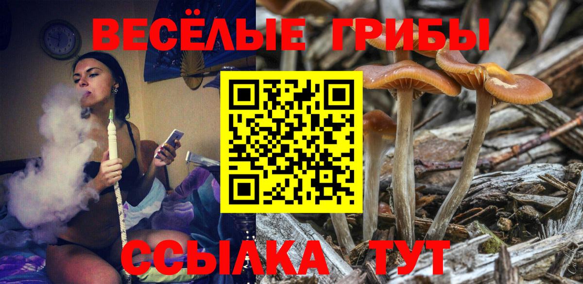 Изобильный  Псилоцибиновые грибы Psilocybine cubensis  Вход с VPN 